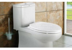 One piece toilet