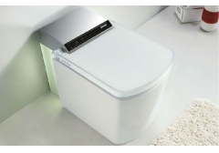 Intelligent stool