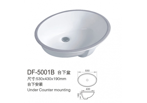 DF-5001