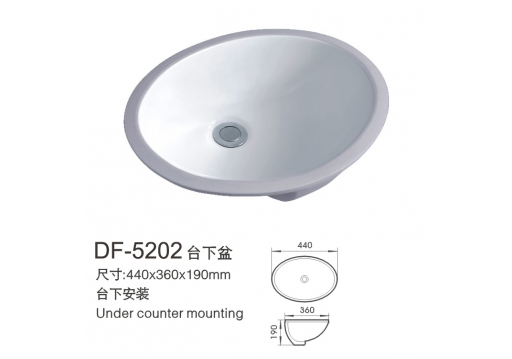 DF-5202