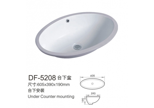 DF-5208