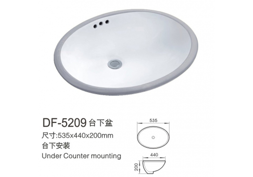 DF-5209