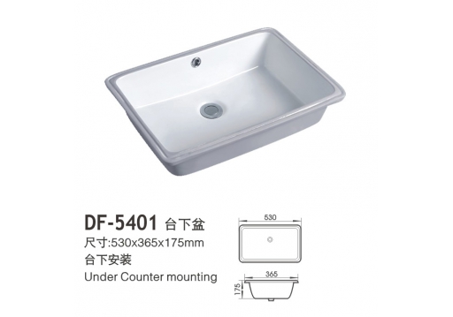 DF-5401