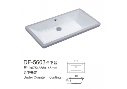 DF-5603